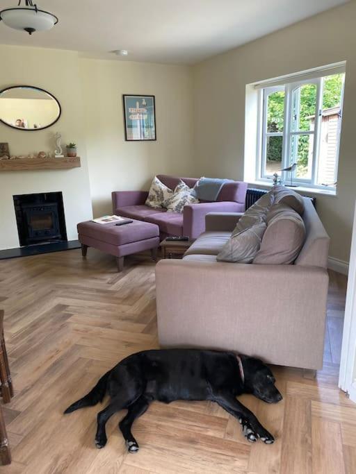 Lovely Quiet Cottage Sleeps 4 Adults, 4 Children, Dog Friendly Клей-некст-те-Сі Екстер'єр фото